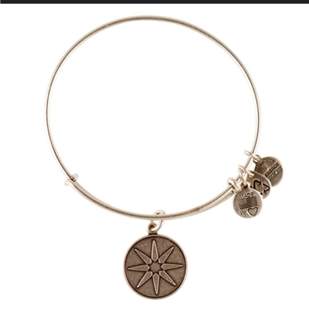 Alex and Ani Star of Venus Charm